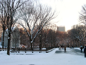 Winter sunet in Central Park
