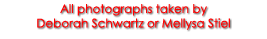 All photographs taken by Deborah Schwartz or Mellysa Stiel
